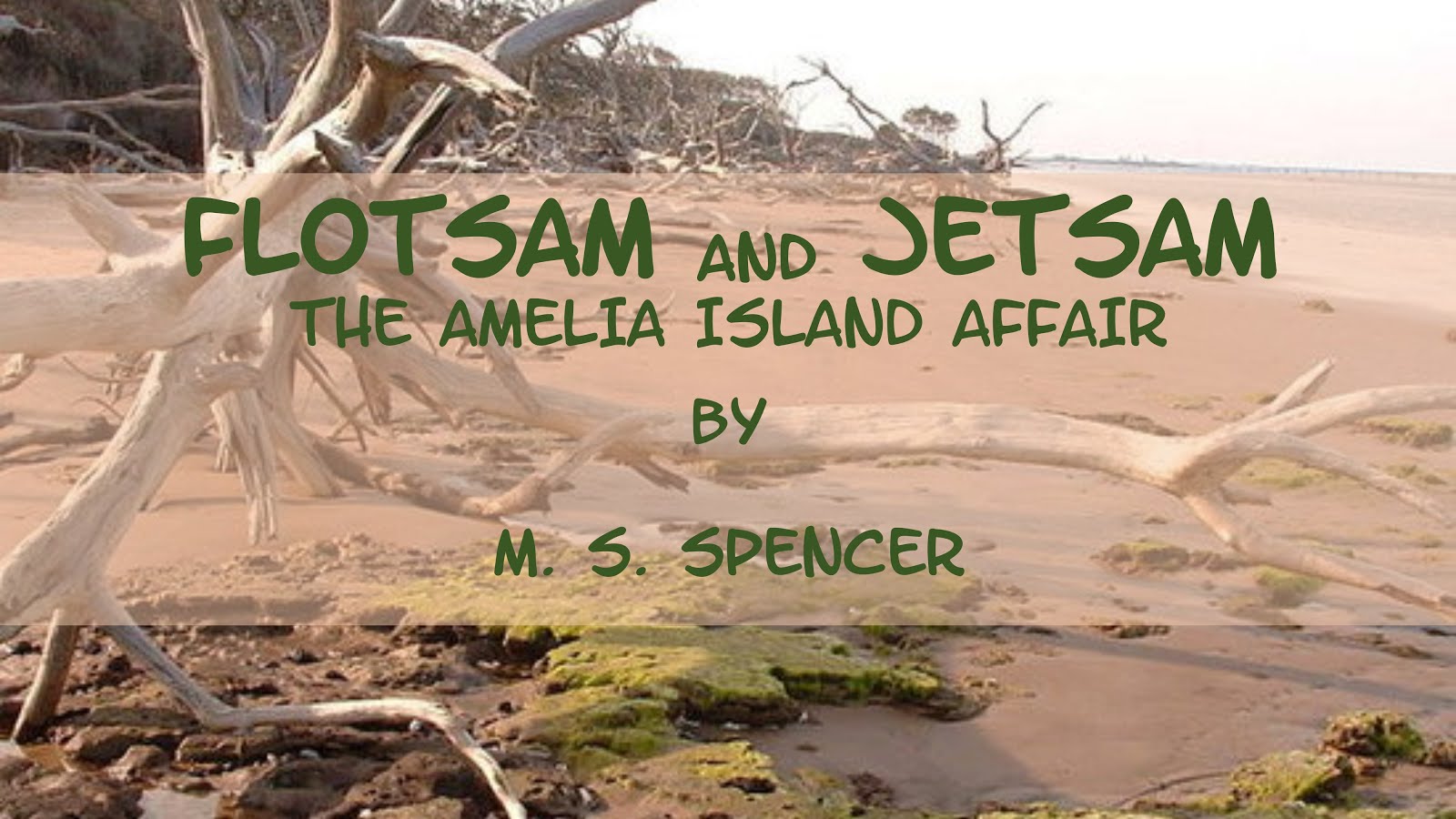 Flotsam & Jetsam