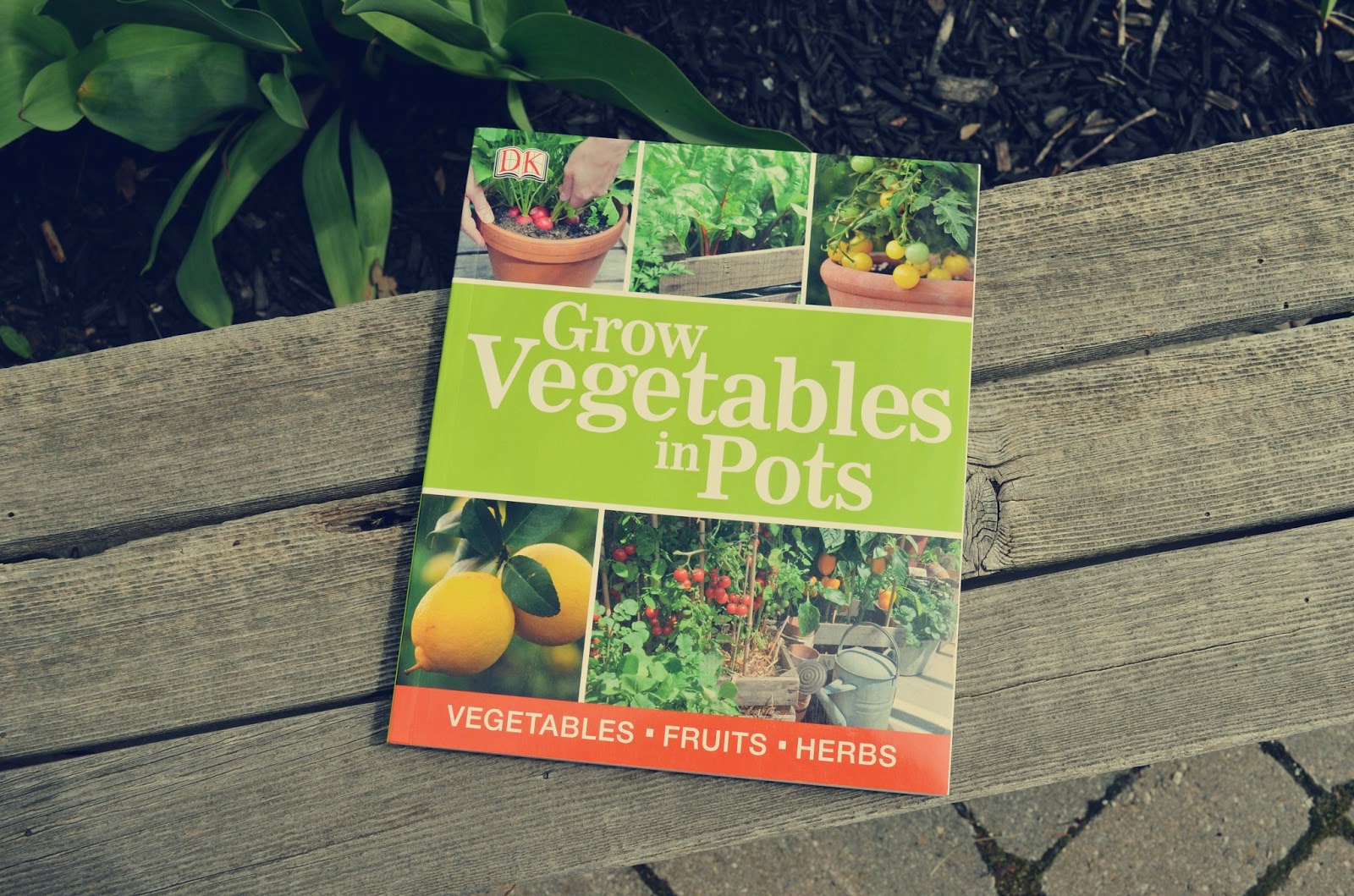 Woman in Real LifeThe Art of the Everyday Gardening for Beginners