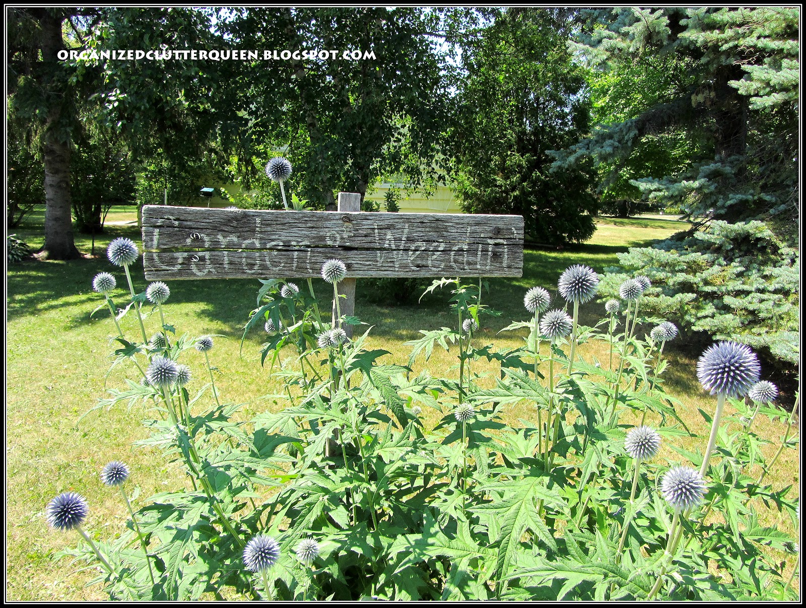 The Front Yard Flower Border | Organized Clutter