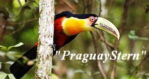 .Hier erhalten Sie wissenswerte Informationen für Ihren Aufenthalt in Paraguay