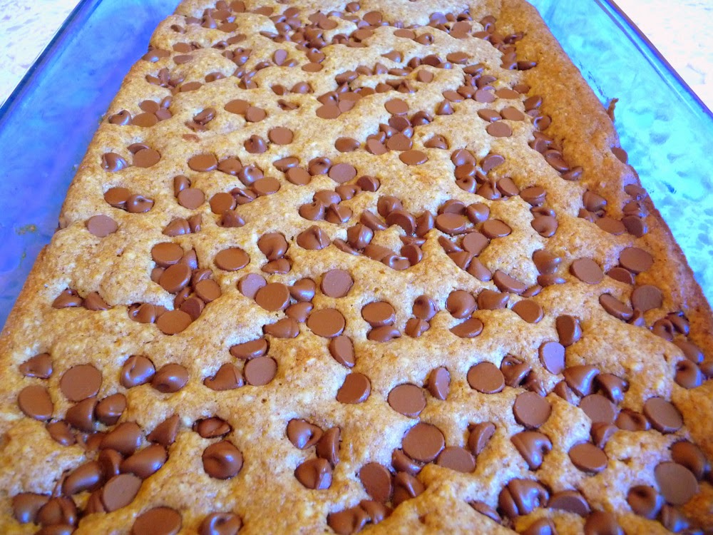 SPLENDID LOWCARBING BY JENNIFER ELOFF SOUR CREAM CHOCOLATE CHIP BARS