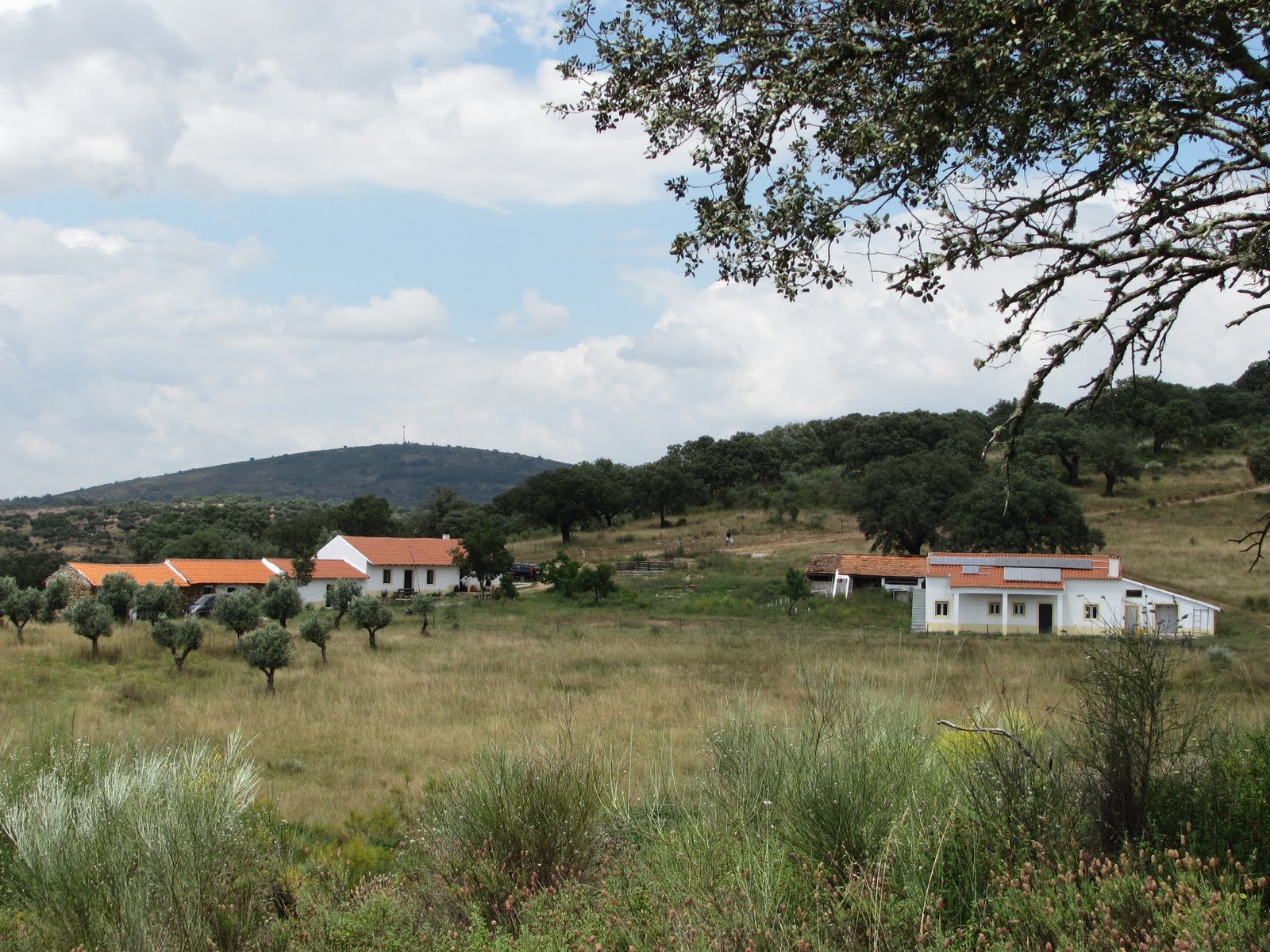 CR5WFF Fotos Parque Natural do Tejo Internacional CTFF 13