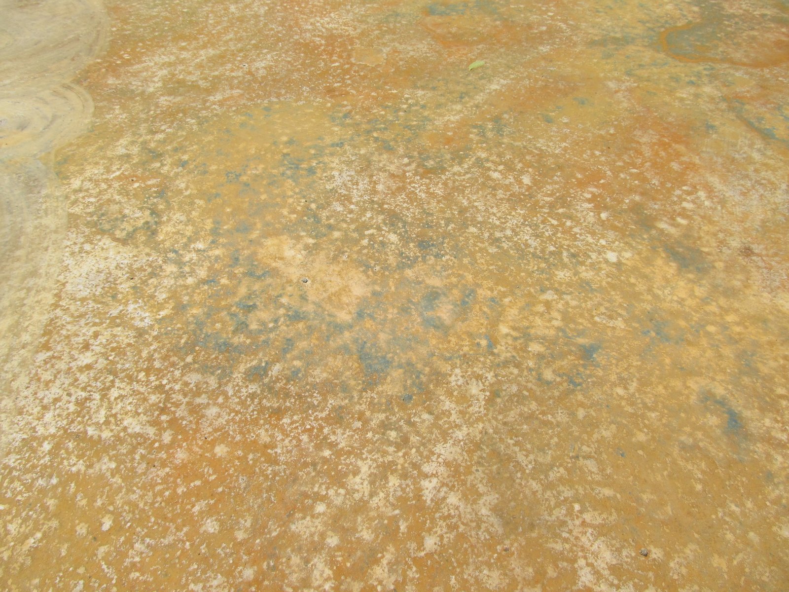 Thistle Creek House Staining the Slab Floor with Iron Sulfate