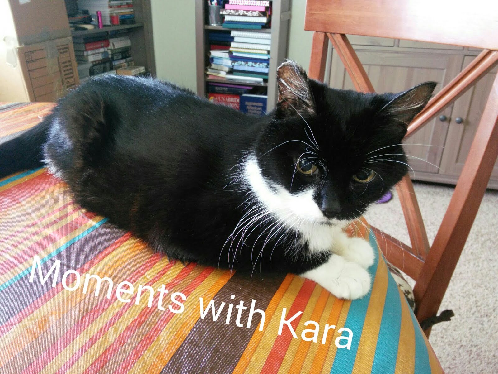 Moments with Kara