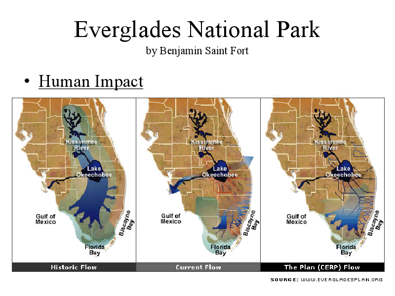 everglades national park research paper