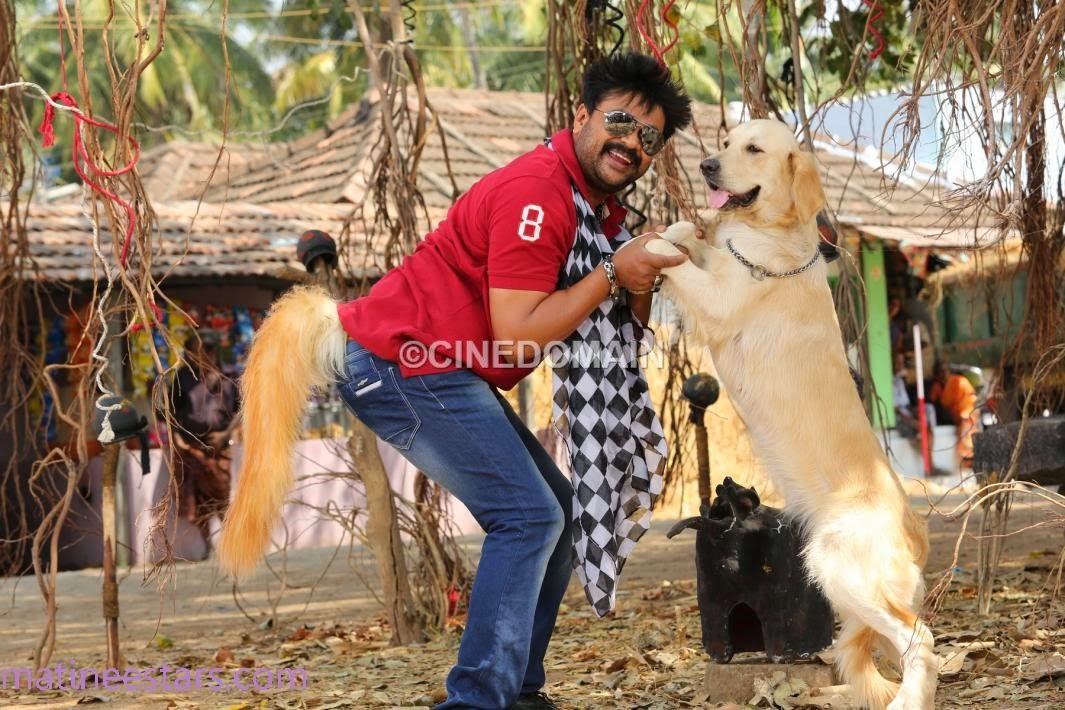 Cine Domain Ring Master 2014 Malayalam Movie Review Our trained dogs in ringmaster movie. cine domain blogger