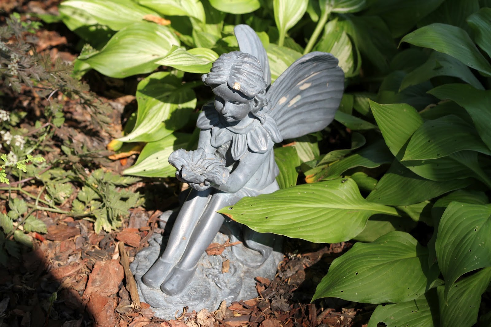 Musings: A Fairy Garden