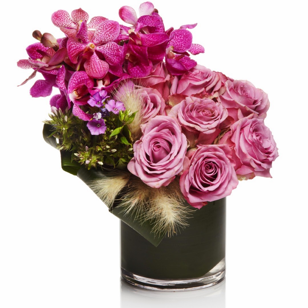 pink and purple flowers pink and purple flowers