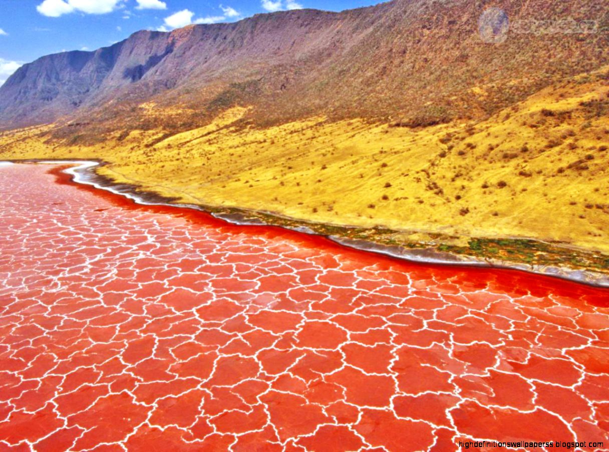 Natron Lake The Rich In Mineral Flow Amazing Top Places Natron Lake The Rich In Mineral Flow Amazing Top Places