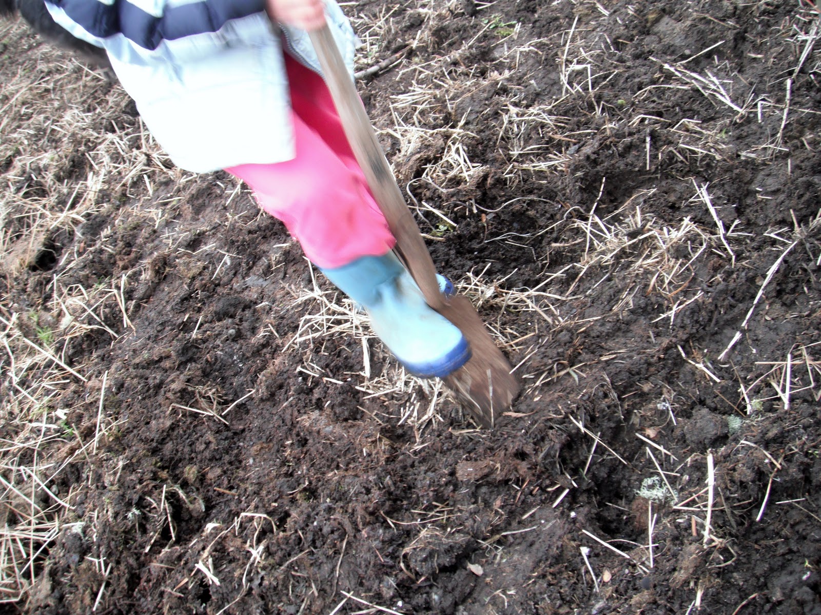 melbourne road shoveling dirt