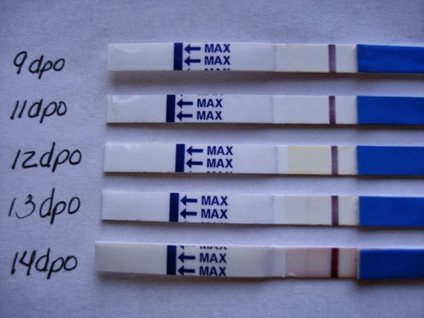 Ovulación Positivo A Los Cuantos Dias Da Positivo El Test De