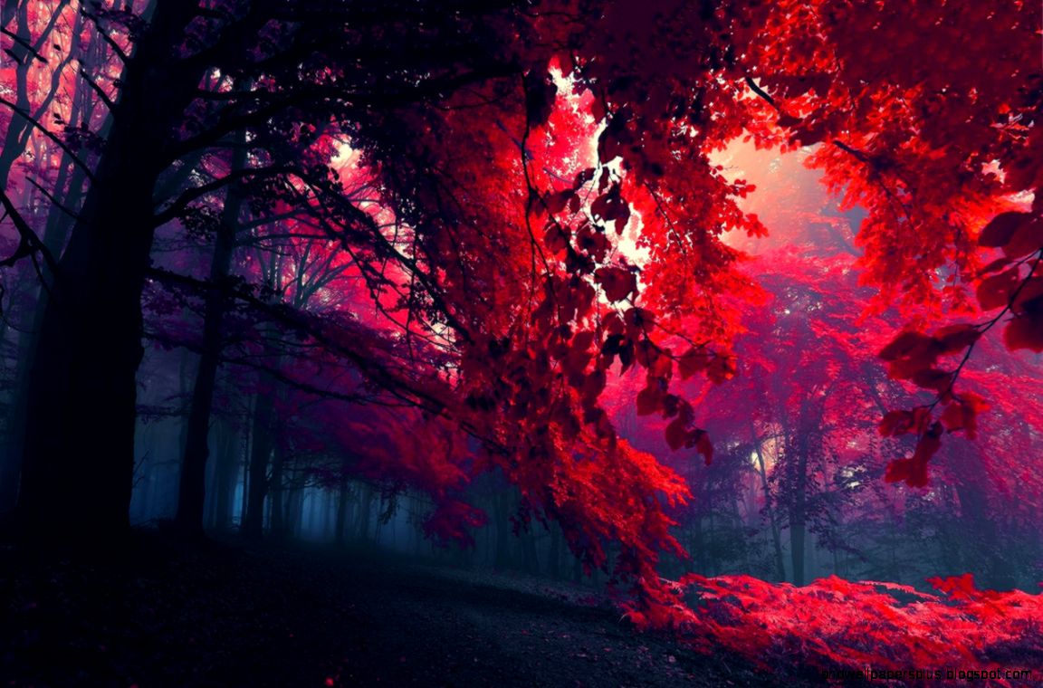 30 Tumblr Backgrounds For Desktop Pulpy Pics 30 Tumblr Backgrounds For Desktop Pulpy Pics