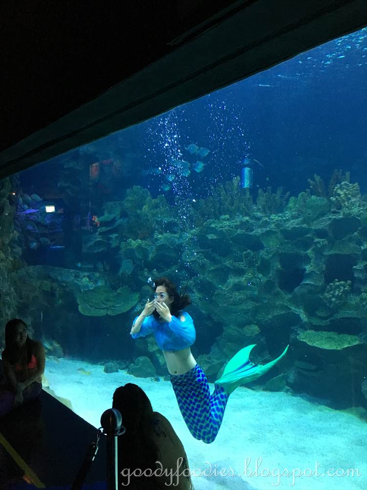 GoodyFoodies Mermaids Aquaria KLCC, Malaysia