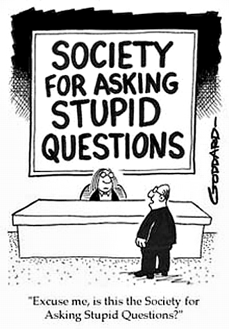 Image result for stupid question gets stupid response