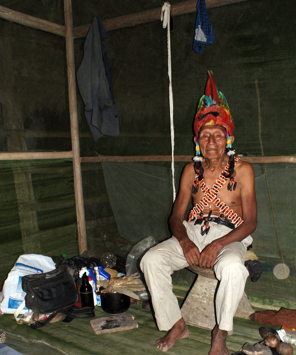 Amazon Explorer Expeditions and Survival in the Amazon Rainforest The