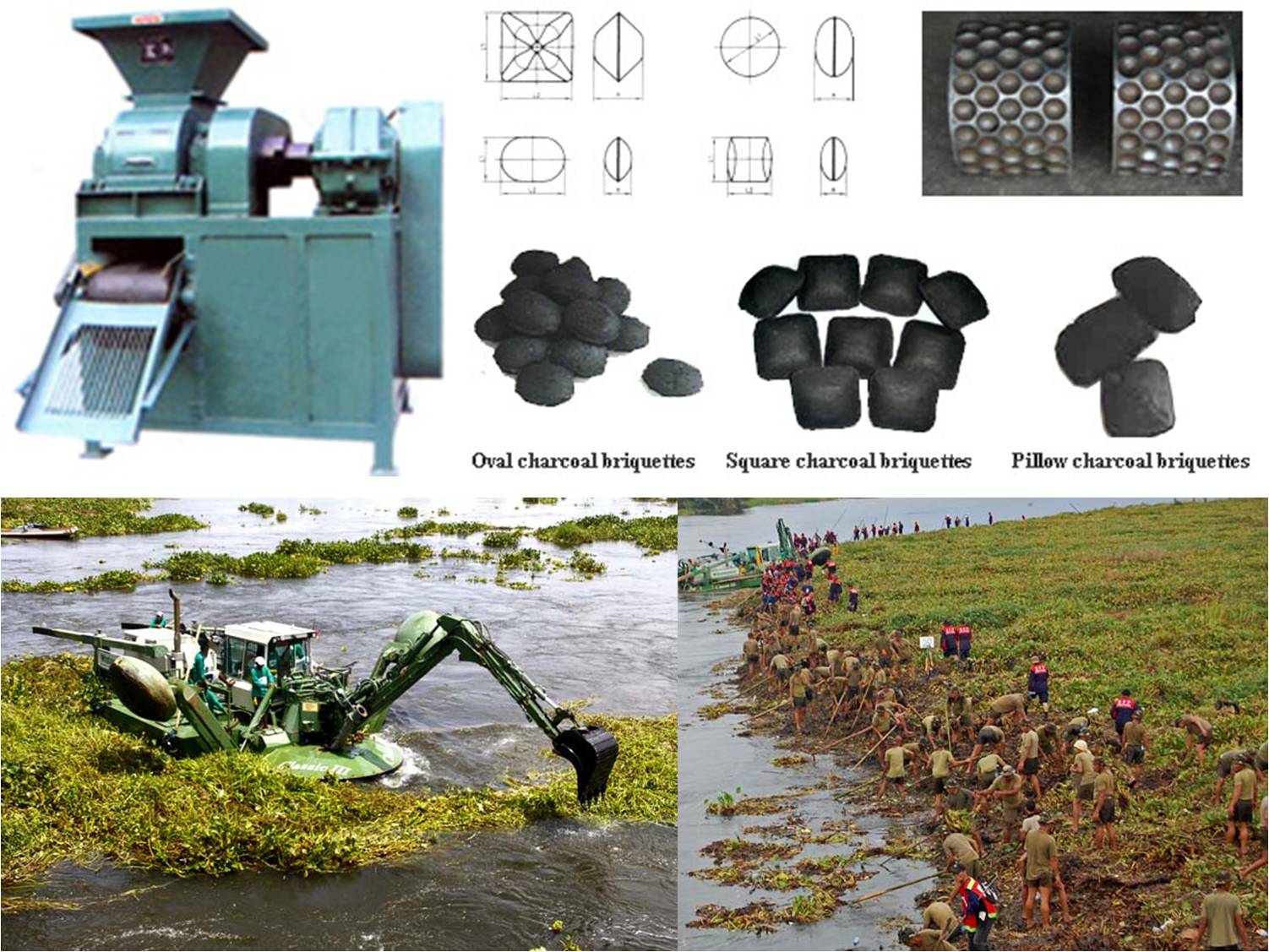 Mindanao Journey PERA SA WATER HYACINTH