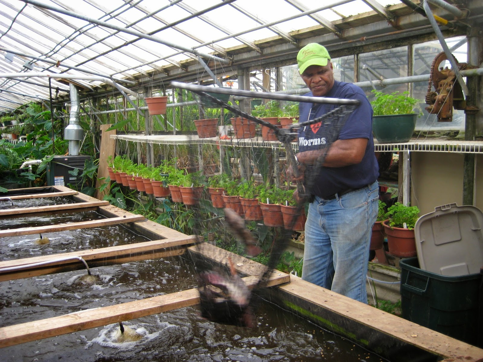 [Image: Will_allen_growing_power_milwaukee_wisconsin_usa.jpg]