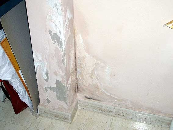 El moho puede hacer de nuestra casa un sitio inseguro ~ Protección