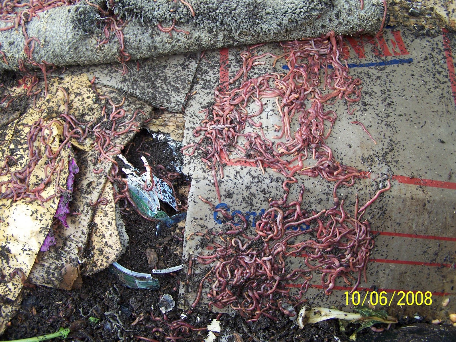 Edible Garden Journal Permaculture Vermiculture