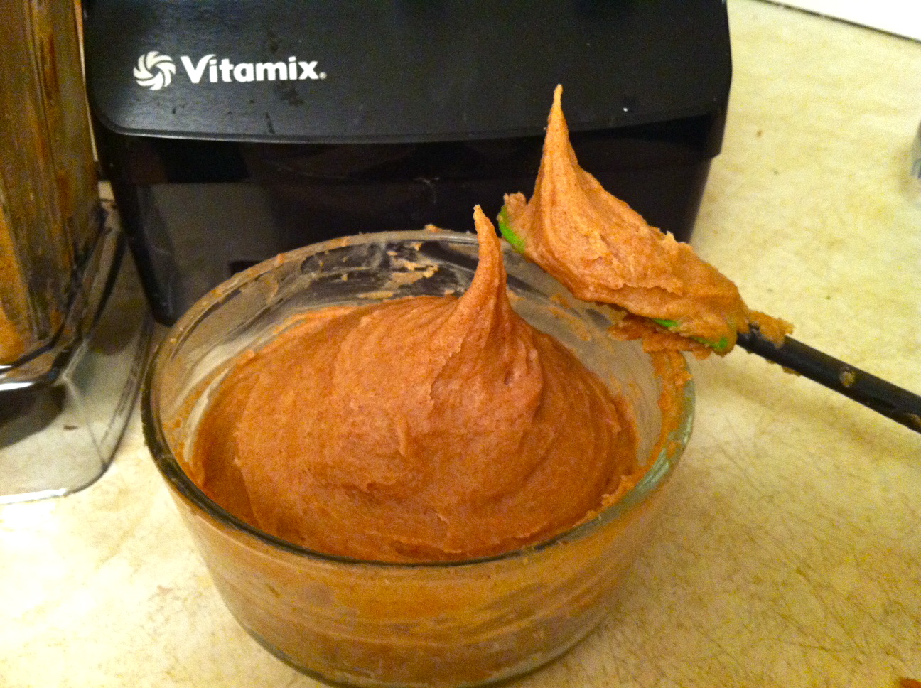 Evolve Vegan Vitamix The Beginning of a Lovestory )