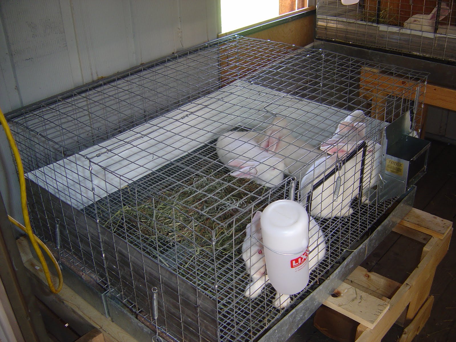 WildernesFamily Meat Rabbit setup and more