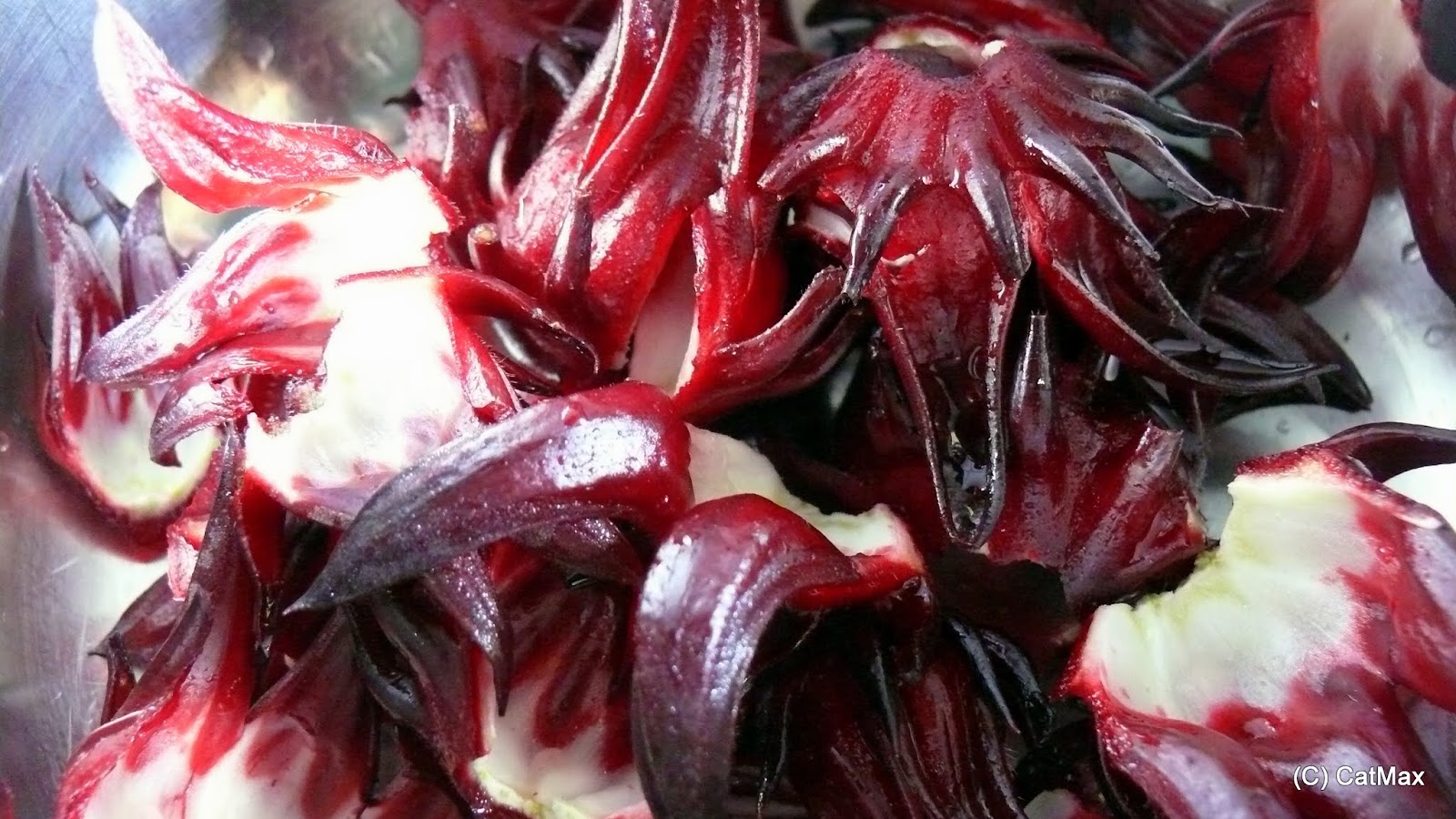 L'Aventure Martiniquaise Le sirop de Groseilles Pays