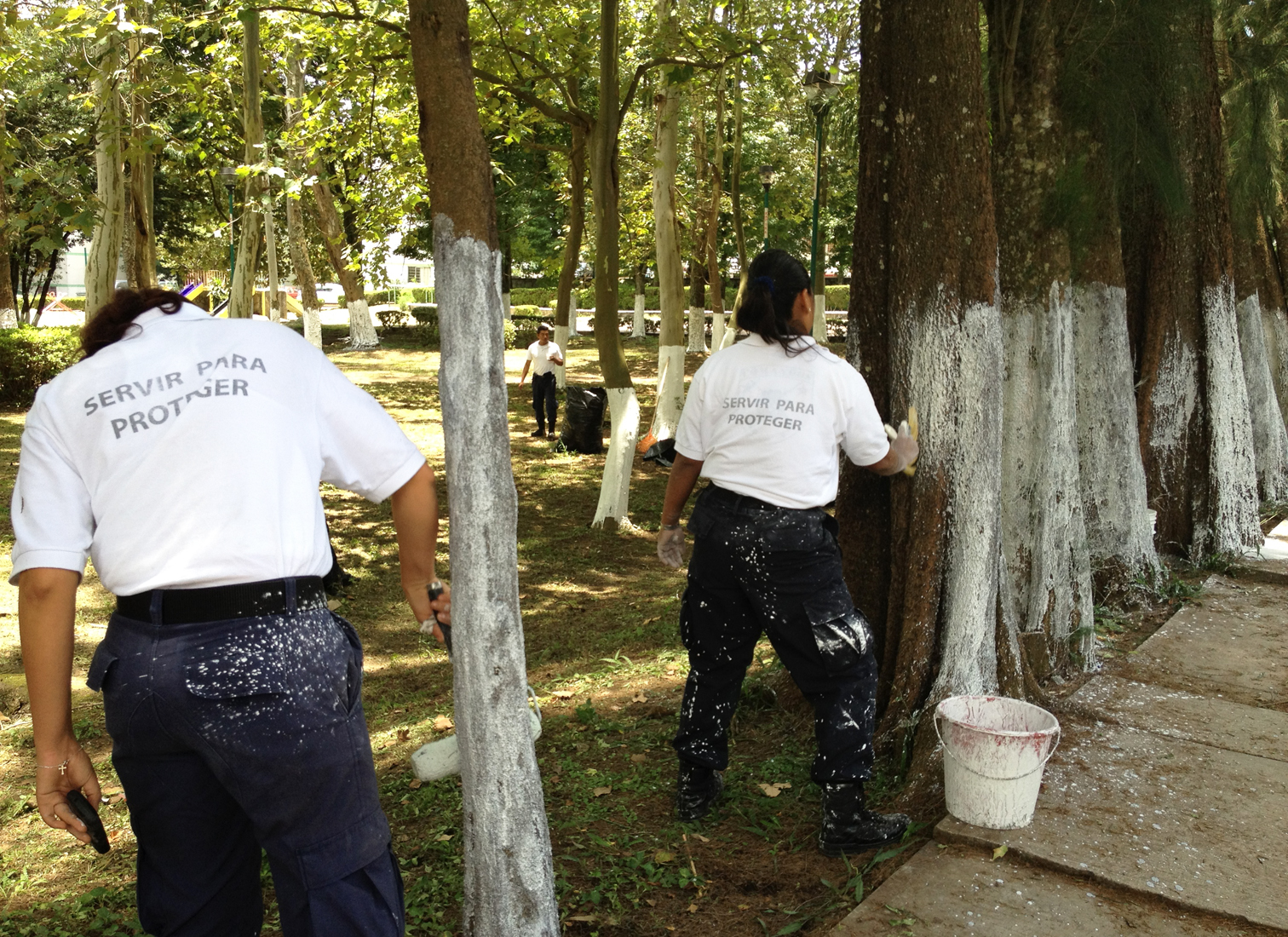 Los Políticos: SSP… la de Oro: ¡Limpieza Olímpica!