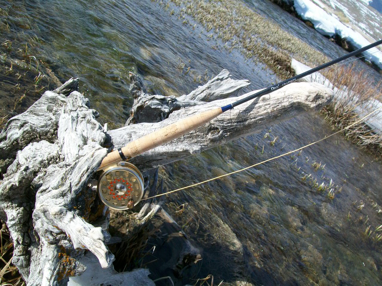 Fly Fishing Along the Banks of Willow Creek