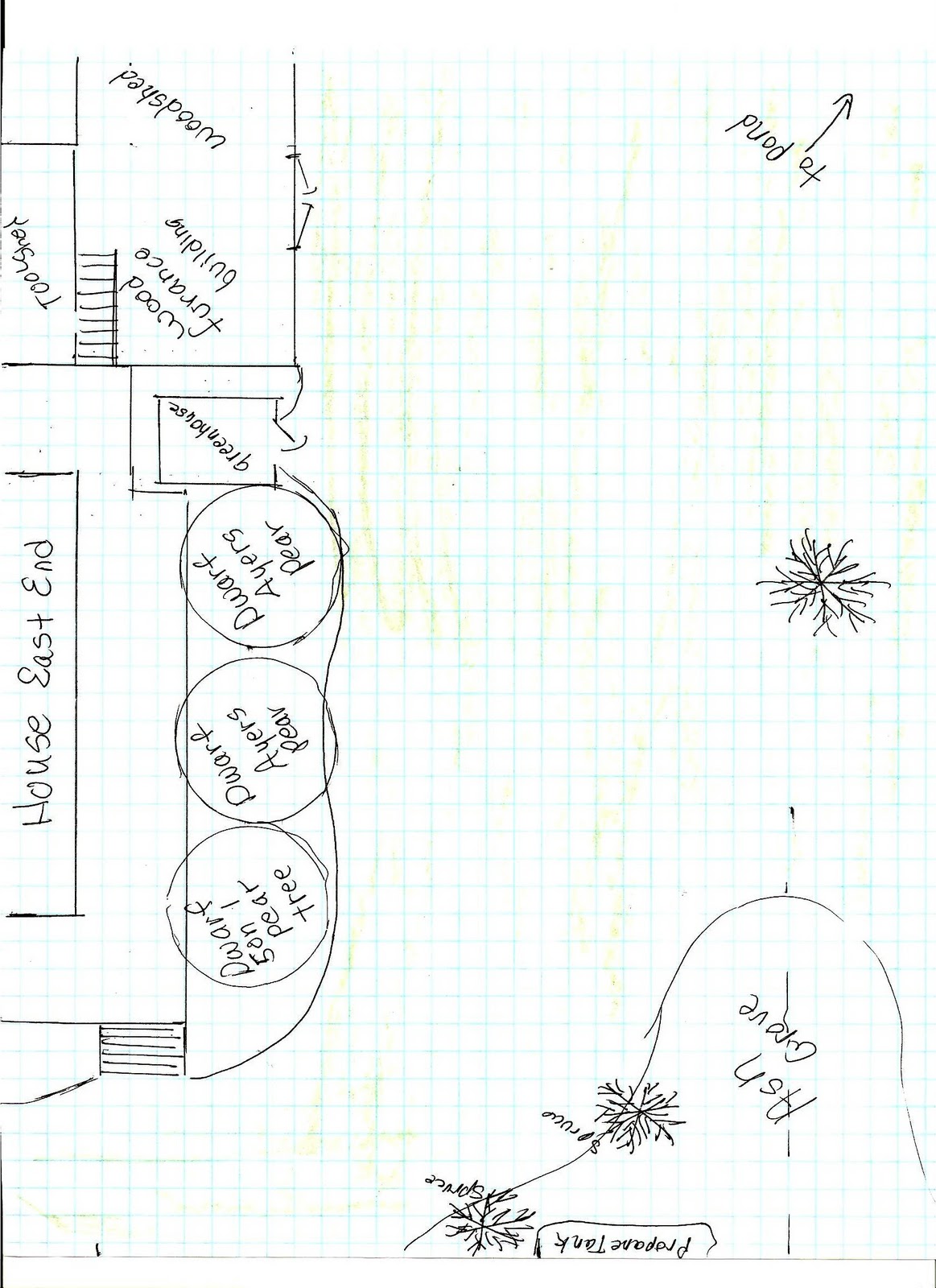 food tree diagram