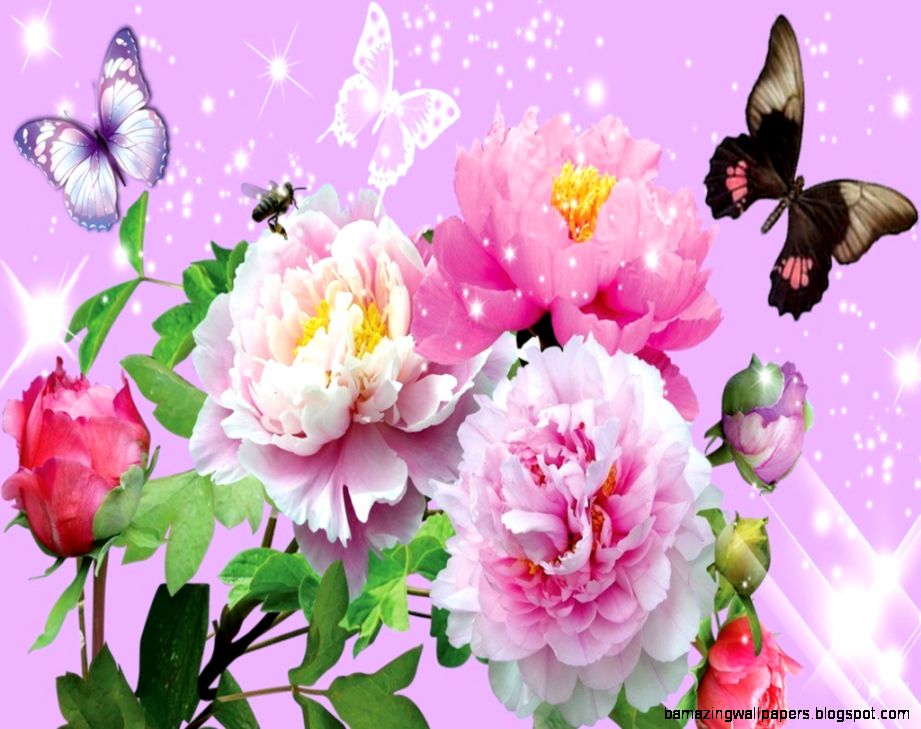 Beautiful Flowers And Butterflies Wallpapers Our Garden Ideas Beautiful Flowers And Butterflies Wallpapers Our Garden Ideas