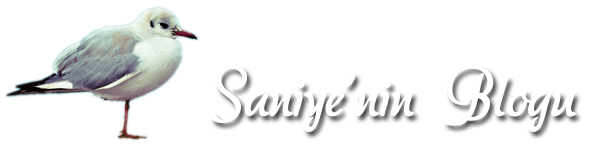 Saniye'nin Blogu