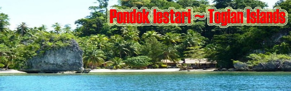 PONDOK LESTARI ~ TOGIAN ISLANDS