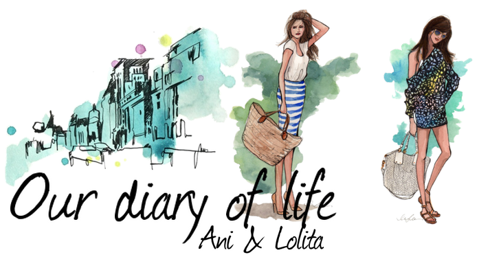 Our diary of life