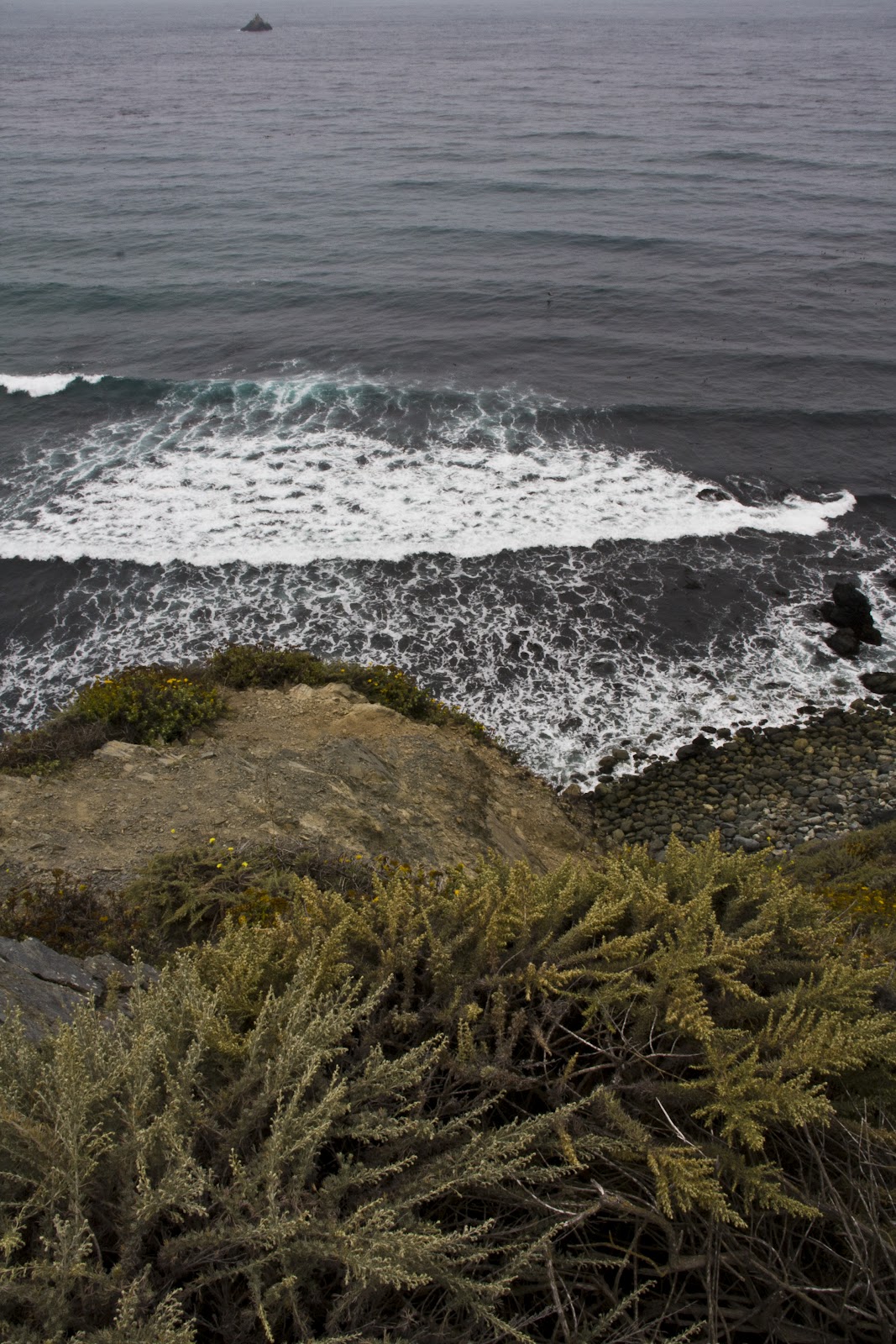 Offshore Winds Big Sur Surf on the California Coast