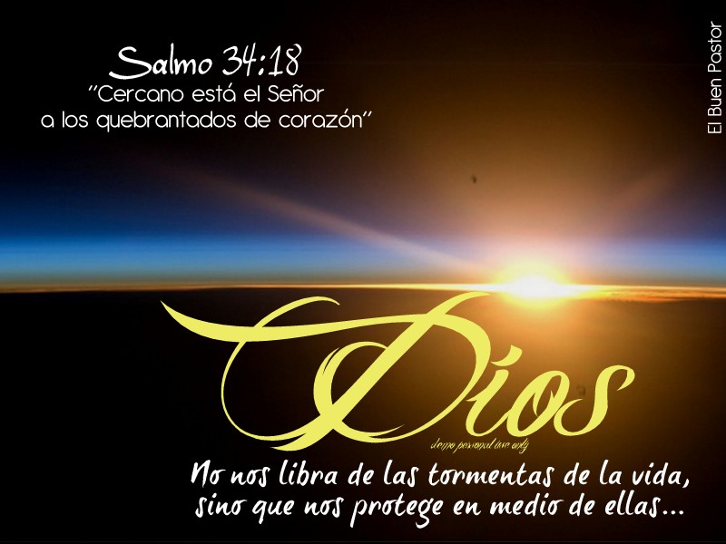 Resultado de imagen para Salmo 34: 8, NVI