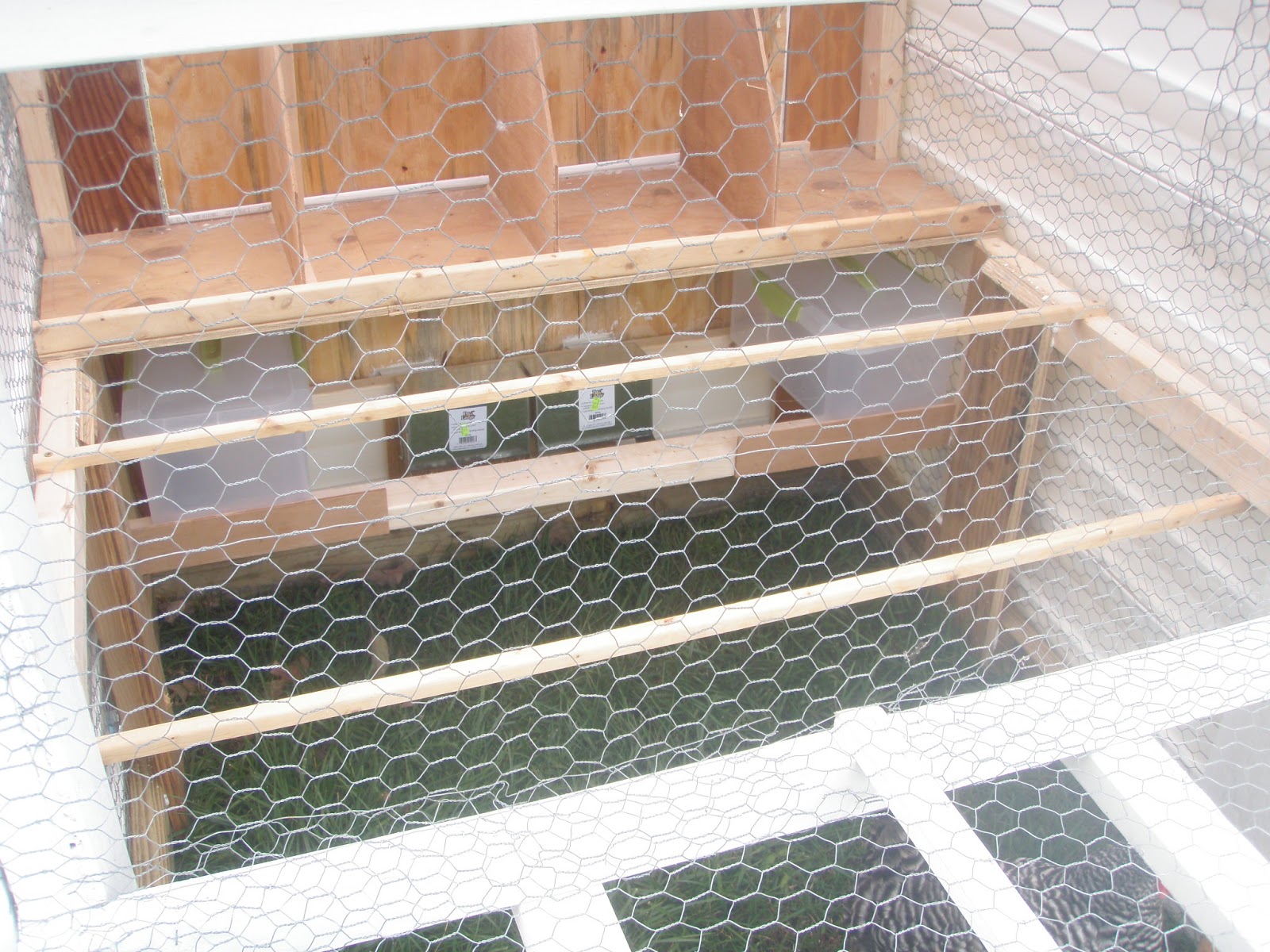 The Homesteading Maven Mobile Chicken House