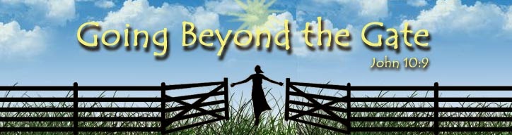 Going beyond the Gate