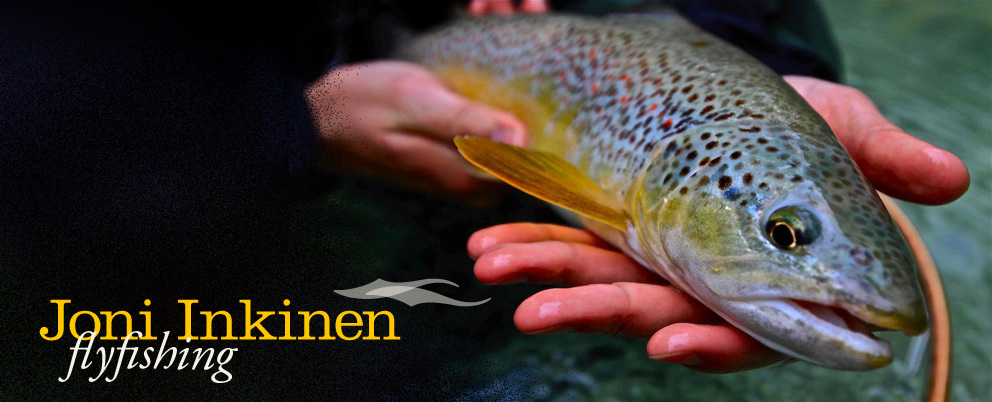 ..the world of FLYFISHING THROUGH JONI'S EYES