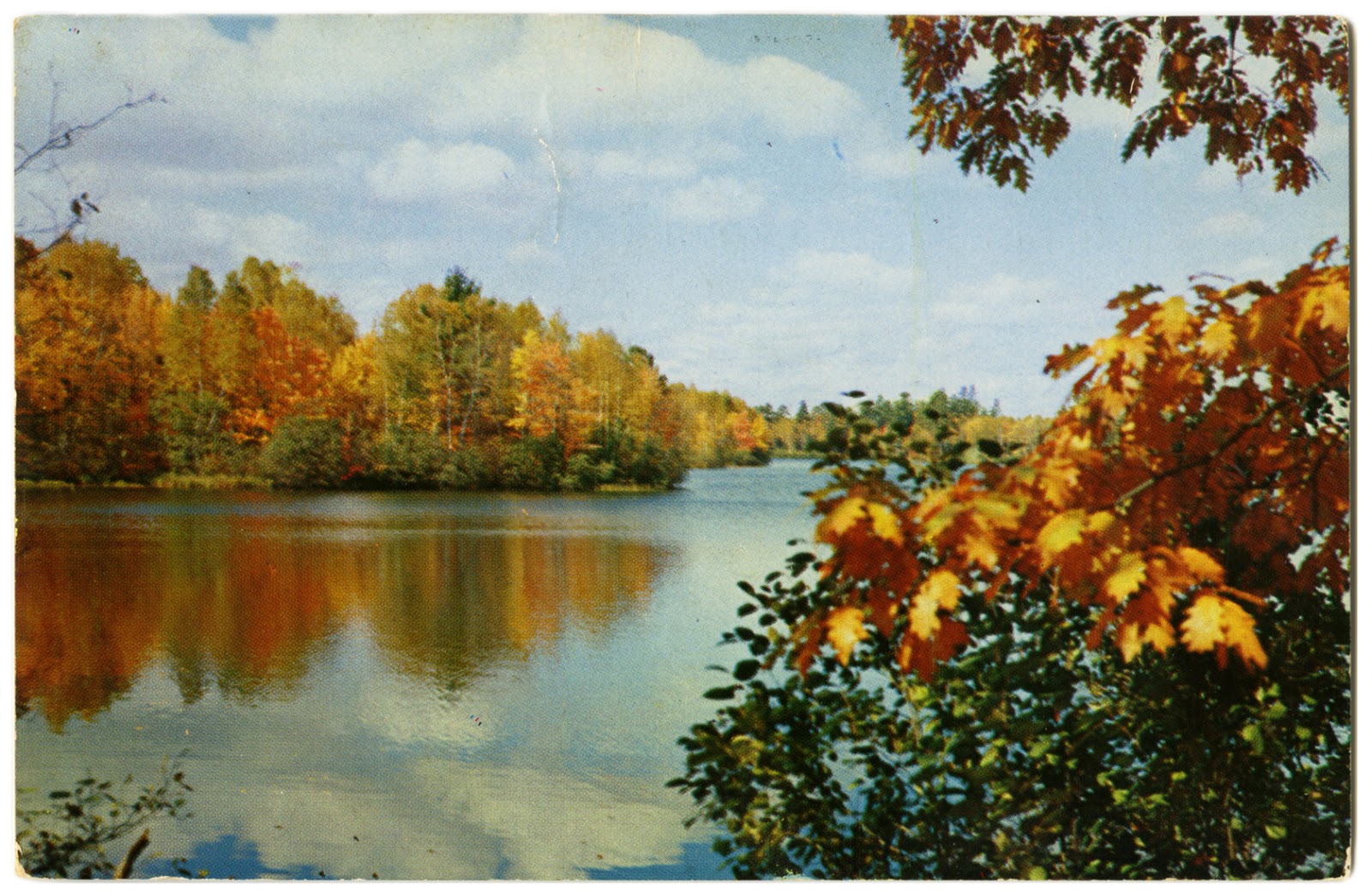 The Wisconsin Project Found Woodland Splash, Crandon, WI