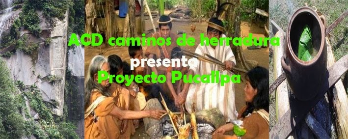 Proyecto Pucallpa