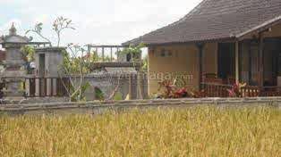 Rumah Kontrak Info Rumah Sewa Murah Sewa Rumah Murah Di Jakarta Bali Bandung Jogja Malang Sewa Rumah Murah Di Ubud Bali Dengan Hamparan Sawah