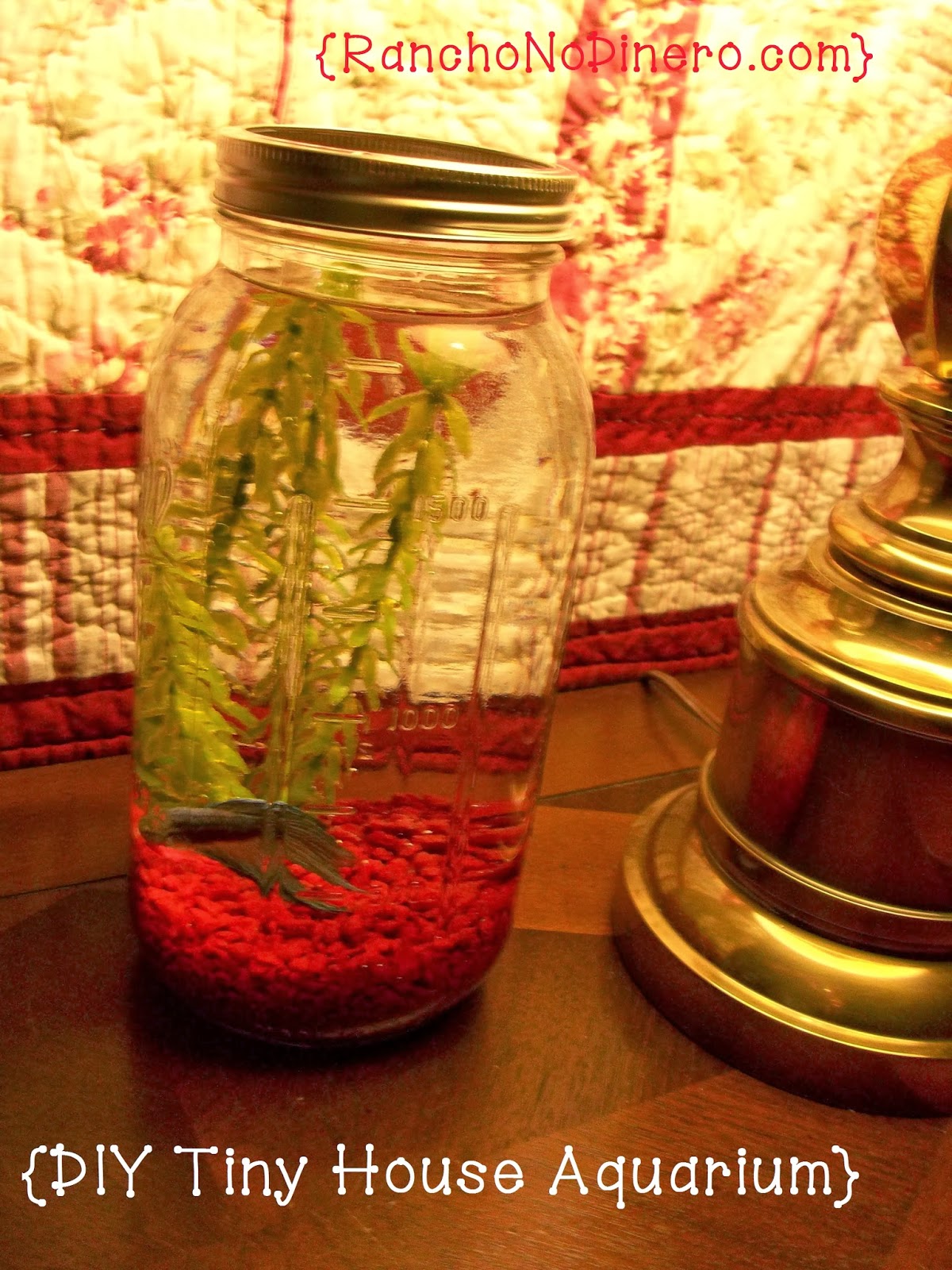 Tiny House Homestead Mason Jar Monday DIY How to Make an Aquarium
