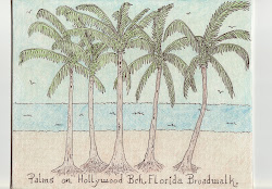 Hollywood Beach Florida Palms