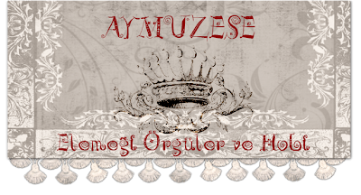 Aymuzese