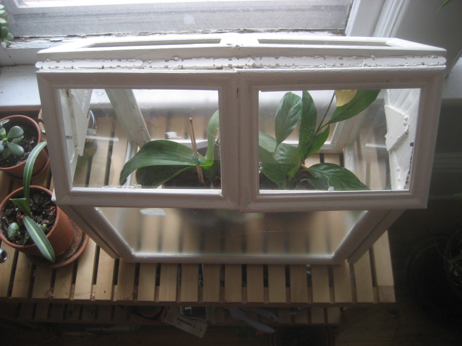 Chuck Does Art DIY Picture Frame Terrarium