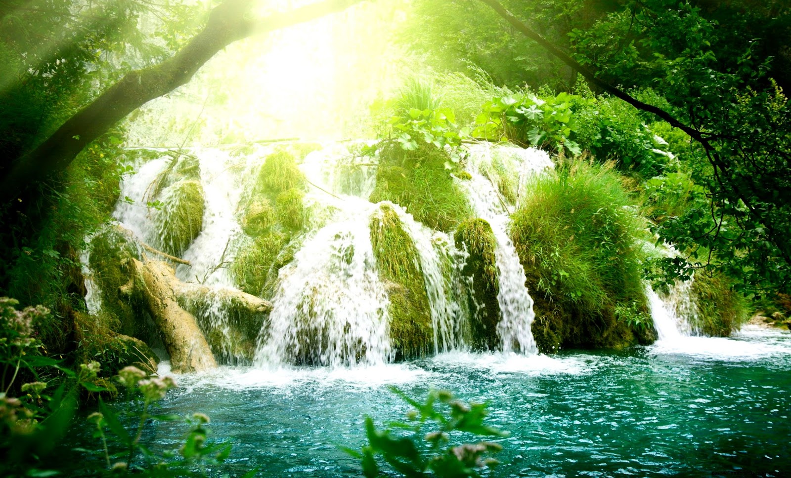 Flower Most Beautiful Waterfalls Flower Most Beautiful Waterfalls