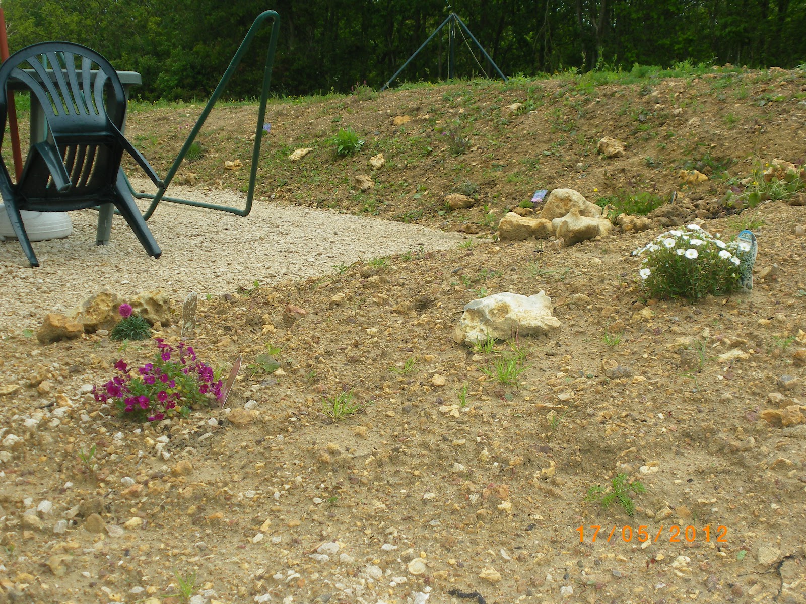 21 Best High Desert Landscaping Images In 2019 High Desert