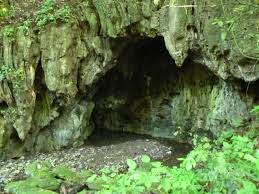 Cueva de los Guacharos