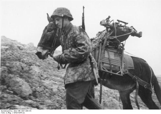 L.U.N.T.U.R.A.N_P.E.N.A SEJARAH Divisi ke24 Waffen SS Tentara