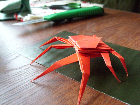 Spider crab (by Jo Nakashima)